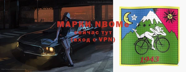 прущие грибы Абинск