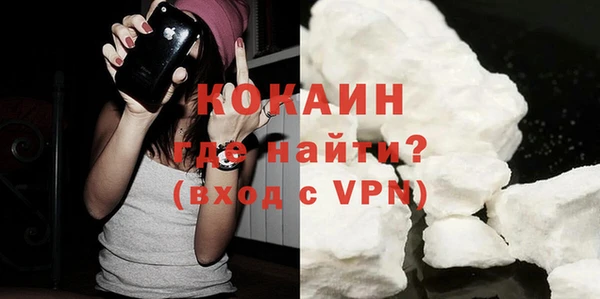 прущие грибы Абинск