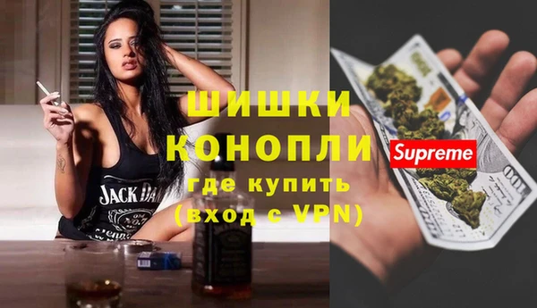 шишки Покачи